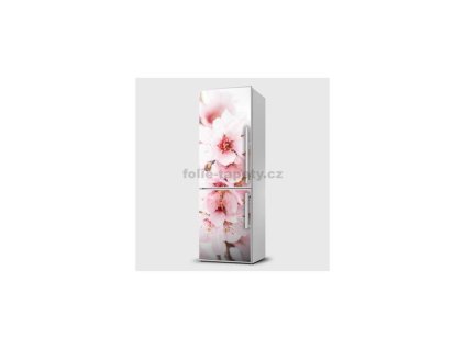 40875 magneticka folie kyticky bilo ruzove