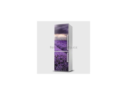 40530 magneticka folie levandulove pole