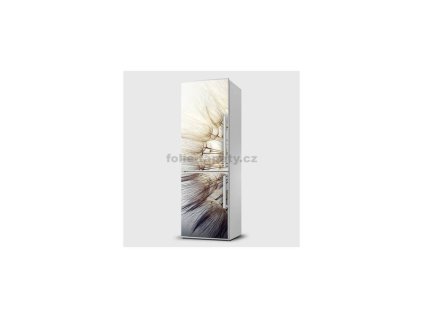 40440 magneticka folie pampeliska