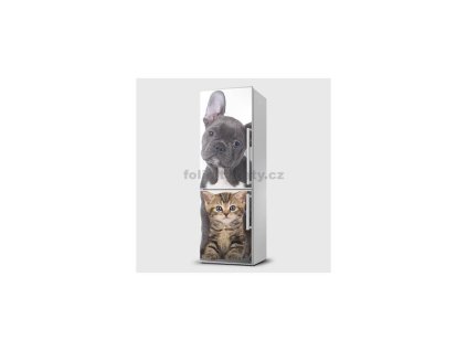 41076 magneticka folie pejsek s kocickou