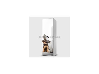 40899 magneticka folie pes a kocky