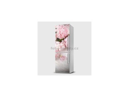 41127 magneticka folie pivonka ruzova