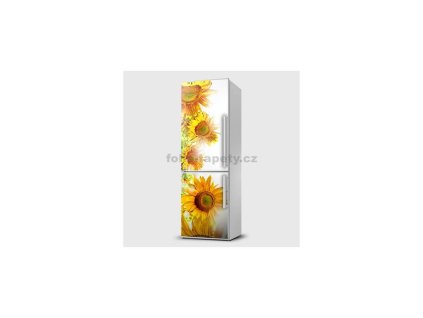 40587 magneticka folie slunecnice
