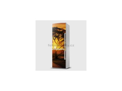 41118 magneticka folie zapad slunce za strom
