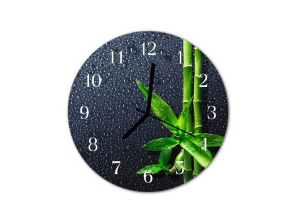 Nástěnné hodiny obrazové na skle - Bambus