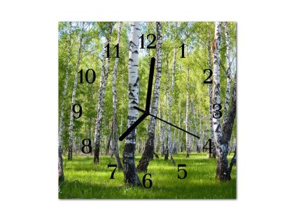 Nástěnné hodiny obrazové na skle - Břízy