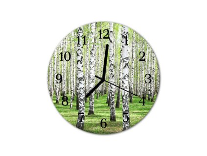 Nástěnné hodiny obrazové na skle - Břízy
