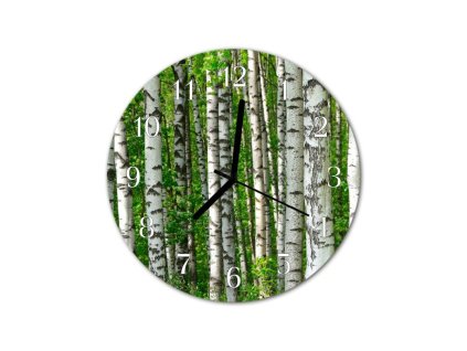 Nástěnné hodiny obrazové na skle - Břízy