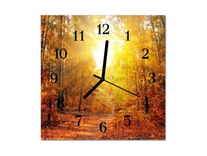 Nástěnné hodiny obrazové na skle - Cesta lesem
