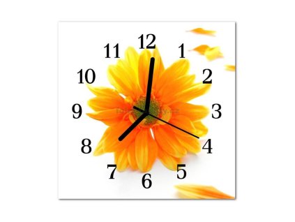 Nástěnné hodiny obrazové na skle - Gerbera