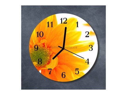 Nástěnné hodiny obrazové na skle - Gerbera I