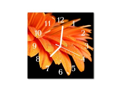 Nástěnné hodiny obrazové na skle - Gerbera I