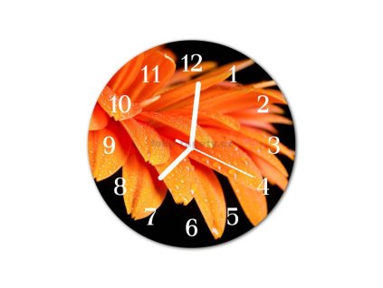 Nástěnné hodiny obrazové na skle - Gerbera II