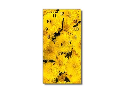 Nástěnné hodiny obrazové na skle - Jiřiny žluté
