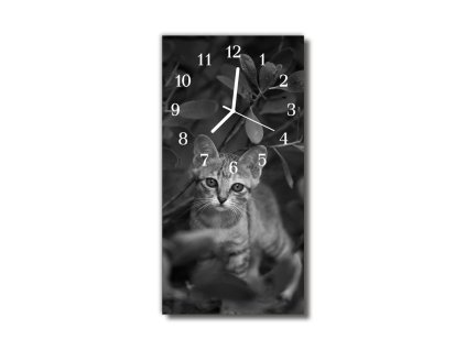 Nástěnné hodiny obrazové na skle - Kočka I