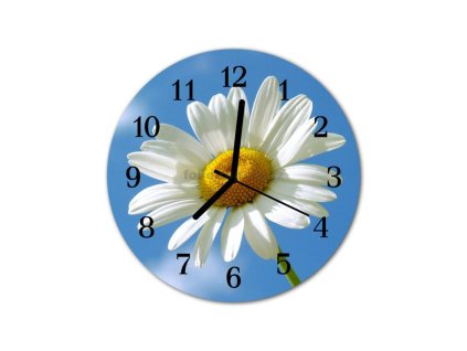 Nástěnné hodiny obrazové na skle - Kopretina