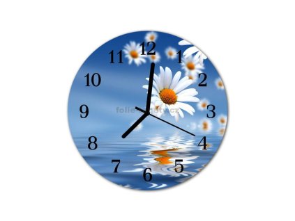 Nástěnné hodiny obrazové na skle - Kopretiny