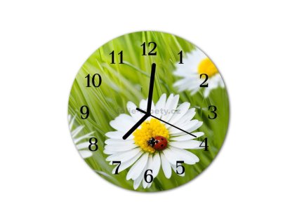 Nástěnné hodiny obrazové na skle - Kopretiny a beruška