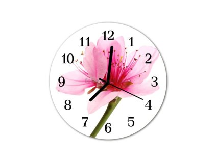 Nástěnné hodiny obrazové na skle - Květ růžový