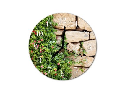 Nástěnné hodiny obrazové na skle - Květina na zdi