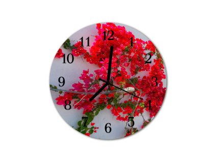 Nástěnné hodiny obrazové na skle - Květy červené