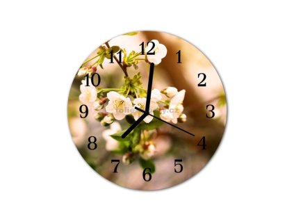 Nástěnné hodiny obrazové na skle - Květy Jabloně