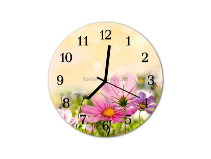 Nástěnné hodiny obrazové na skle - Kytky růžové