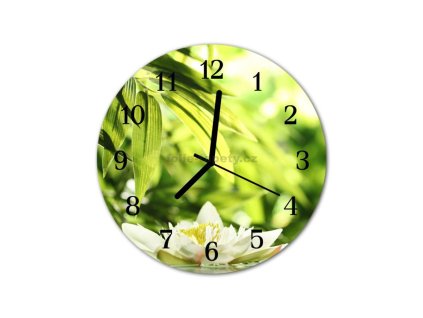 Nástěnné hodiny obrazové na skle - Leknín