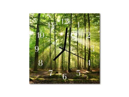 Nástěnné hodiny obrazové na skle - Les