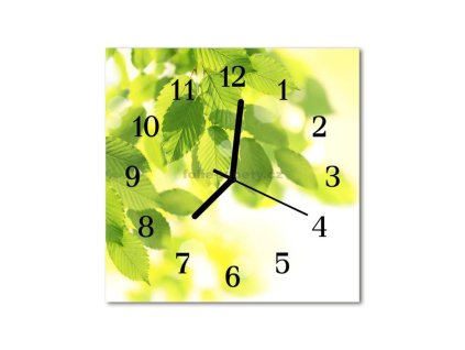 Nástěnné hodiny obrazové na skle - Listí