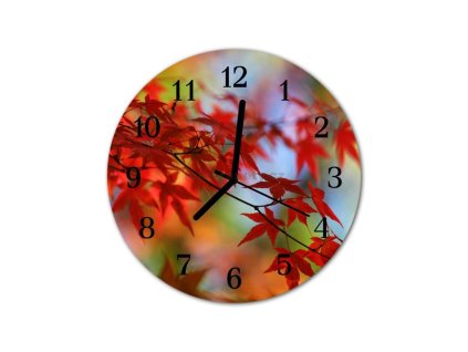 Nástěnné hodiny obrazové na skle - Lístky červené