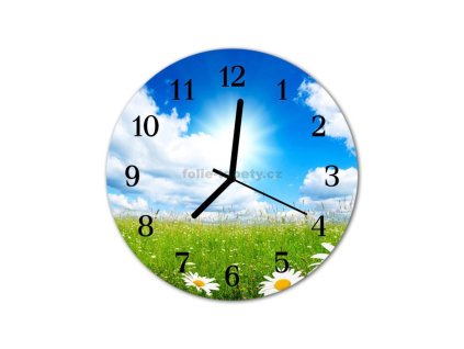Nástěnné hodiny obrazové na skle - Louka