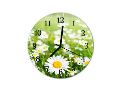 Nástěnné hodiny obrazové na skle - Louka kopretin