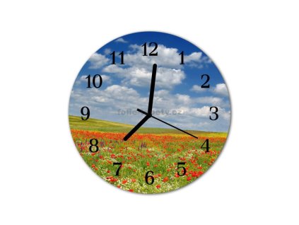 Nástěnné hodiny obrazové na skle - Louka maková