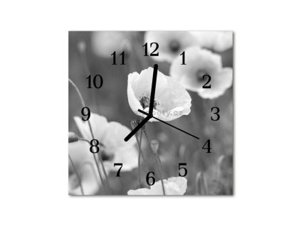 Nástěnné hodiny obrazové na skle - Mák bílý