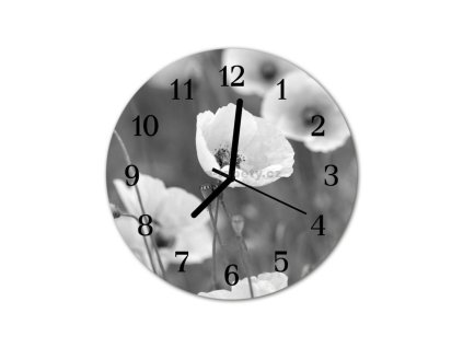 Nástěnné hodiny obrazové na skle - Mák bílý