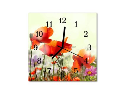 Nástěnné hodiny obrazové na skle - Mák na louce
