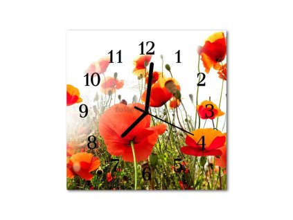 Nástěnné hodiny obrazové na skle - Maková louka