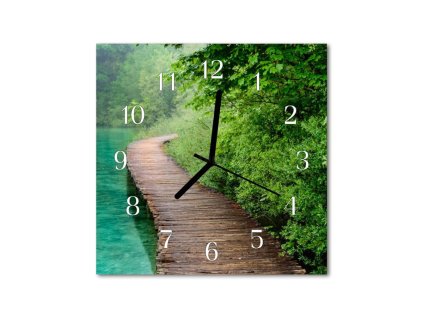 Nástěnné hodiny obrazové na skle - Most v pralese