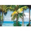 Fototapeta vliesová Palmy