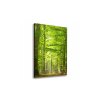46806 obraz na platne zeleny les 70 x 100 cm
