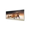 41766 2 obraz na skle divoke kone 125 x 50 cm