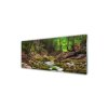 41697 2 obraz na skle potok v lese 140 x 70 cm