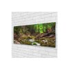 41697 obraz na skle potok v lese 140 x 70 cm