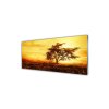 41541 2 obraz na skle strom 125 x 50 cm