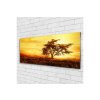 41544 obraz na skle strom 140 x 70 cm