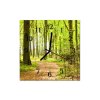 Nástěnné hodiny obrazové na skle - Cesta v lese