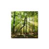 Nástěnné hodiny obrazové na skle - Les