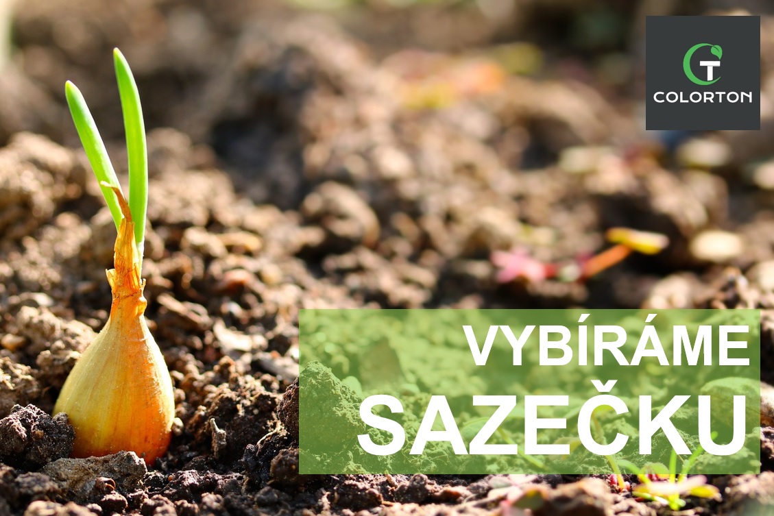 JAKOU VYBRAT SAZEČKU?