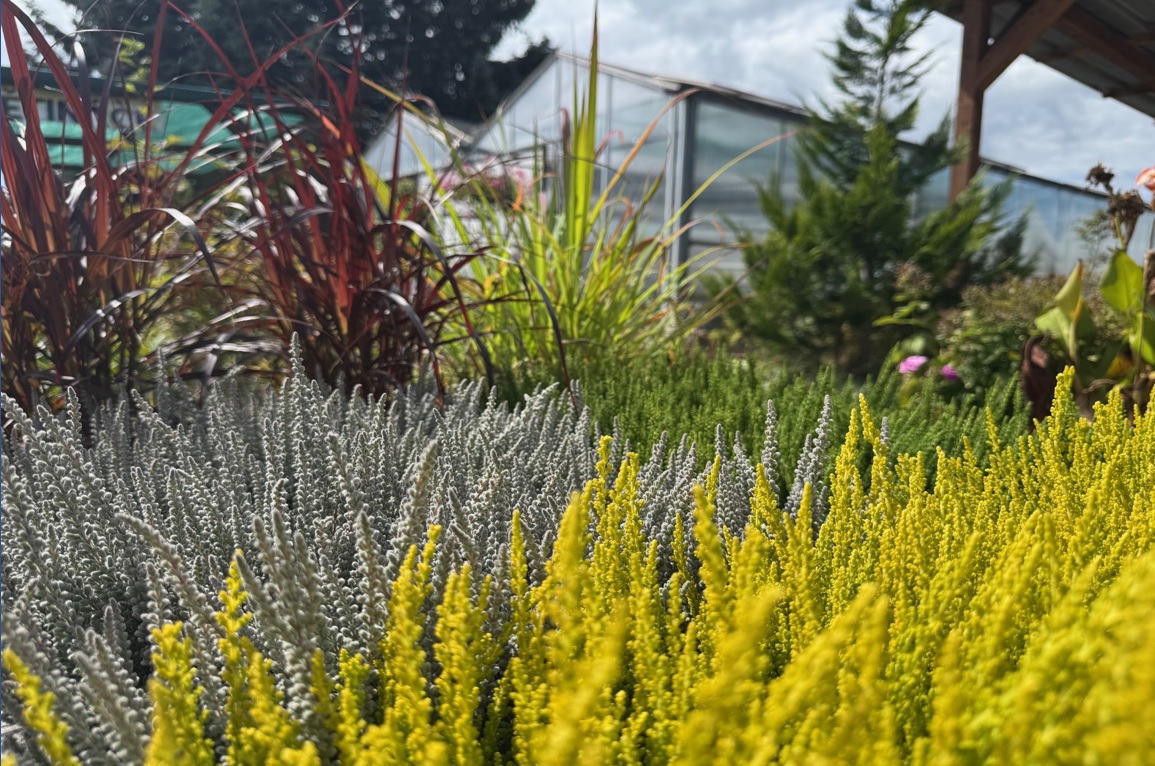 Podzim v zahradnictví